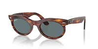 RB2242 Wayfarer Oval Polarized Sunglasses