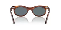 RB2242 Wayfarer Oval Polarized Sunglasses