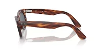 RB2242 Wayfarer Oval Polarized Sunglasses