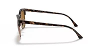RB3016 Clubmaster Classic Sunglasses