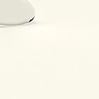 RB3025 Aviator Clear Evolve Sunglasses