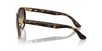 RB3710 Bonnie Sunglasses