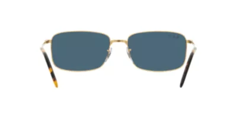 RB3717 Polarized Sunglasses