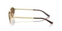 RB3734 Polarized Sunglasses