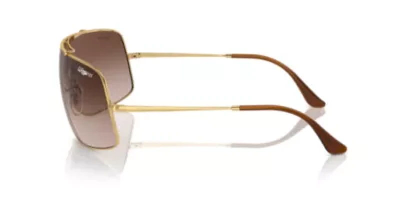 RB3897 Wings III Sunglasses