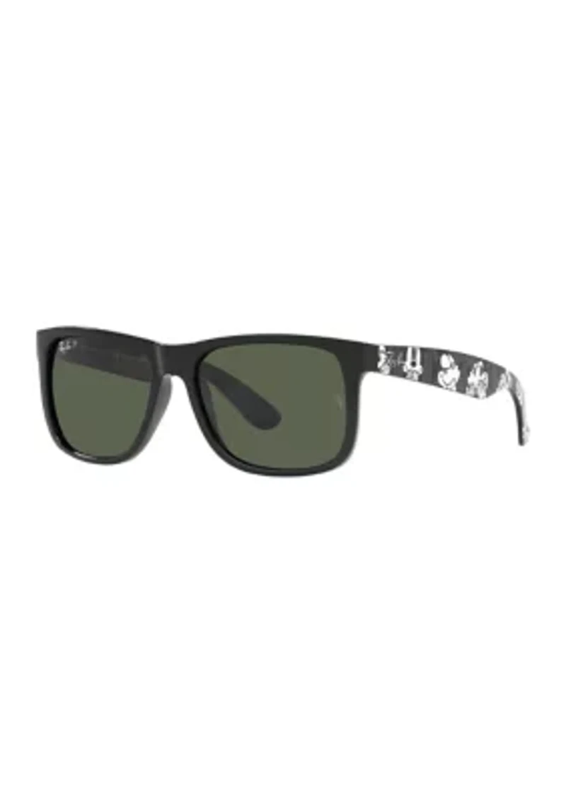 RB4165 Sunglasses