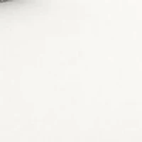 RB4165 Justin Clear Sunglasses