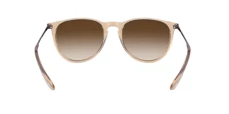 RB4171 Erika Color Mix Sunglasses