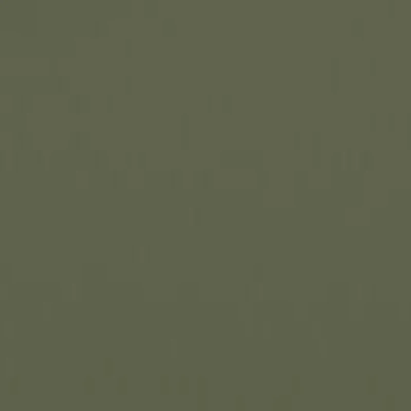 RB4179 LITEFORCE Polarized Sunglasses