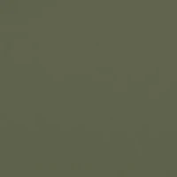 RB4179 LITEFORCE Polarized Sunglasses