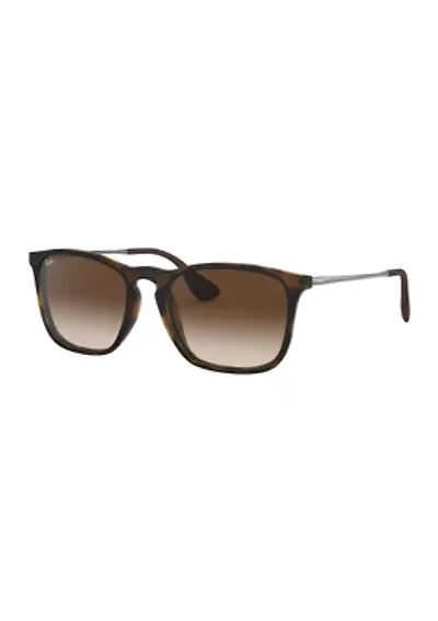 RB4187 Chris Sunglasses