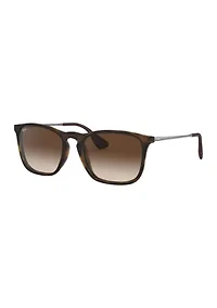 RB4187 Chris Sunglasses