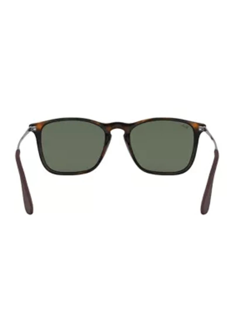 RB4187 Chris Sunglasses