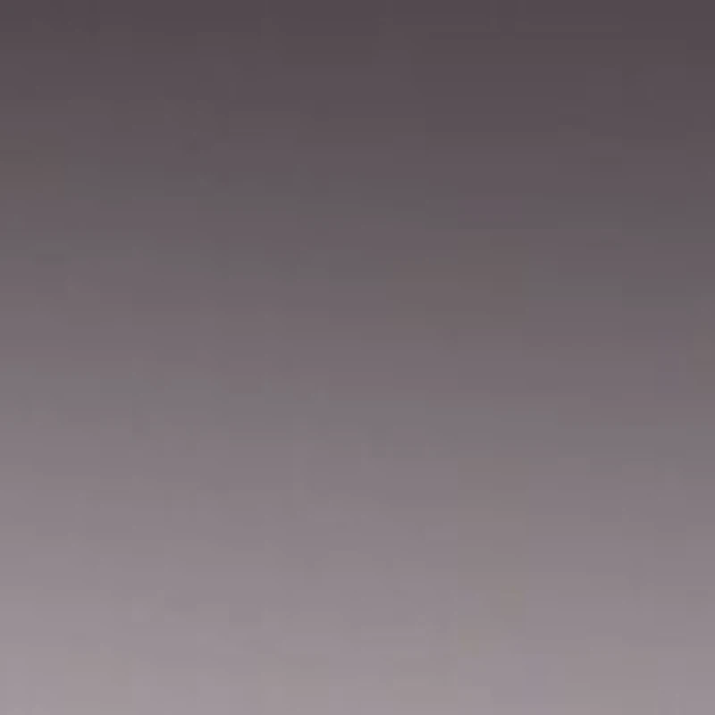 RB4202 Andy Sunglasses