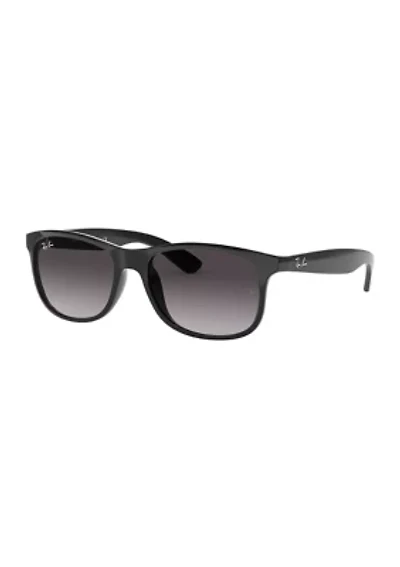RB4202 Andy Sunglasses