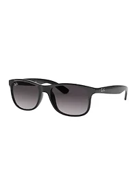 RB4202 Andy Sunglasses