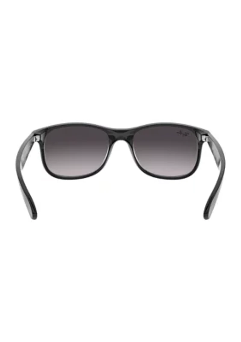 RB4202 Andy Sunglasses