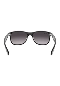 RB4202 Andy Sunglasses
