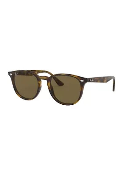 RB4259 Sunglasses