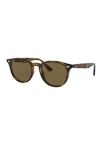 RB4259 Sunglasses