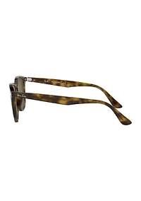RB4259 Sunglasses