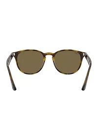 RB4259 Sunglasses