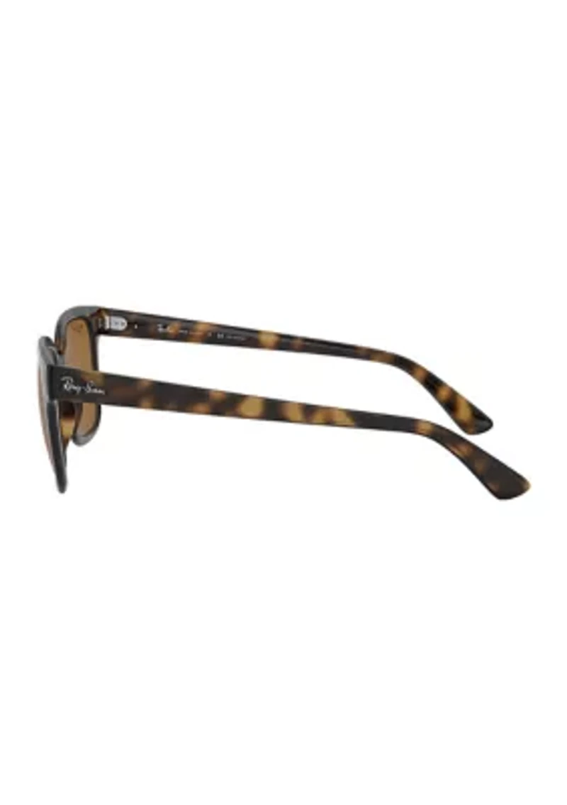 RB4323 Polarized Sunglasses