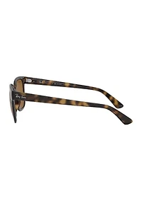 RB4323 Polarized Sunglasses