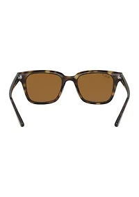 RB4323 Polarized Sunglasses