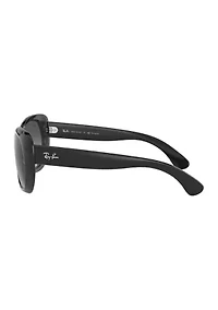 RB2193 Leonard Polarized Sunglasses