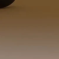 RB4259 Sunglasses