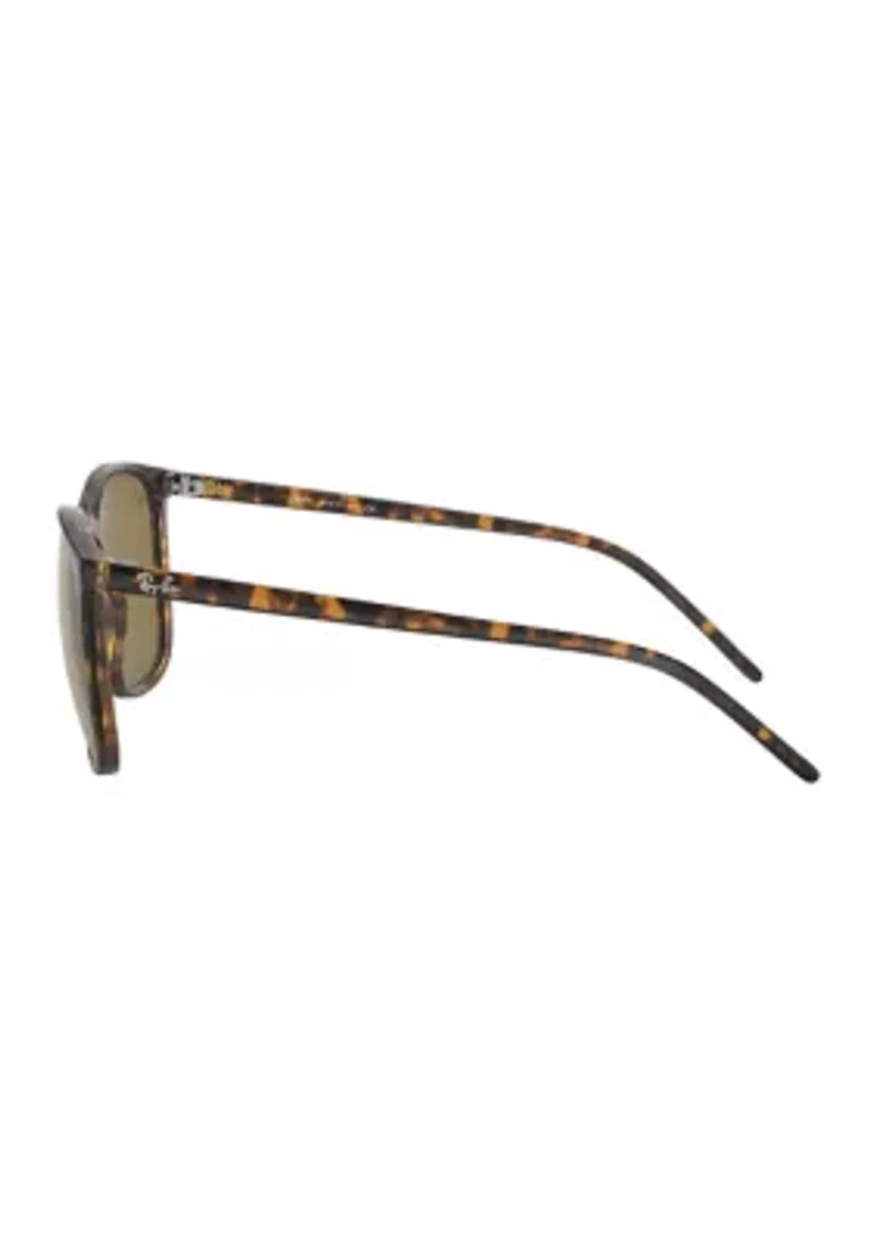 RB4387 Sunglasses