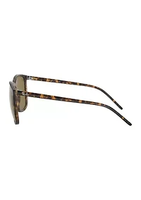 RB4387 Sunglasses