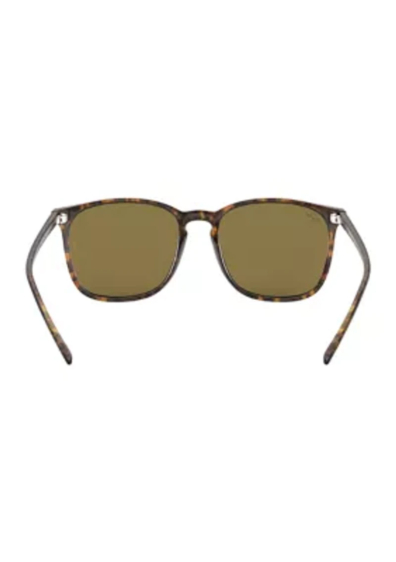 RB4387 Sunglasses