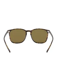 RB4387 Sunglasses