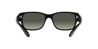RB4388 Sunglasses