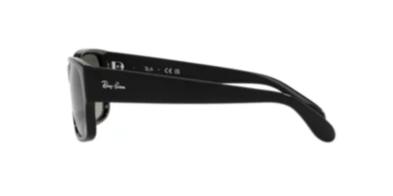 RB4388 Sunglasses