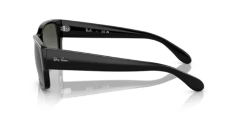 RB4388 Sunglasses