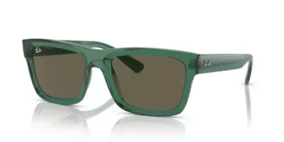 RB4396 Warren Bio-Based Polarized Sunglasses