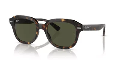 RB4398 Erik Sunglasses