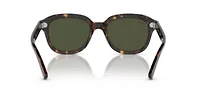 RB4398 Erik Sunglasses