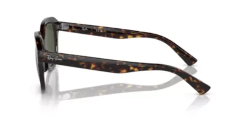 RB4398 Erik Sunglasses
