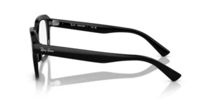 RB4398 Erik Transitions® Sunglasses