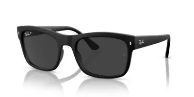 RB4428 Polarized Sunglasses