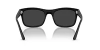 RB4428 Polarized Sunglasses