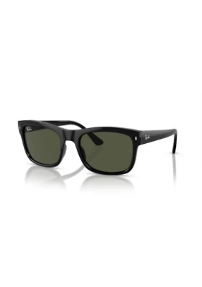 RB4428 Sunglasses