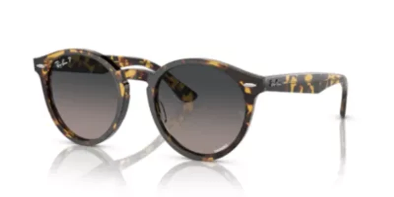 RB7680S Larry Polarized Sunglasses