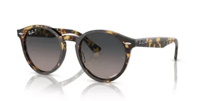 RB7680S Larry Polarized Sunglasses