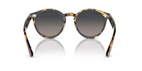 RB7680S Larry Polarized Sunglasses