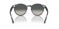 RB7680S Larry Sunglasses